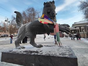 Иркутскому бабру связали 18-метровый шарф