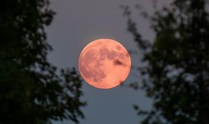 Последнее суперлуние 2025 года наблюдают сегодня жители Земли