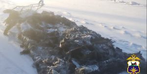 Хивус сгорел дотла в Листвянке