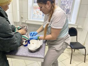 Кота в Усолье спасли после стирки в машинке