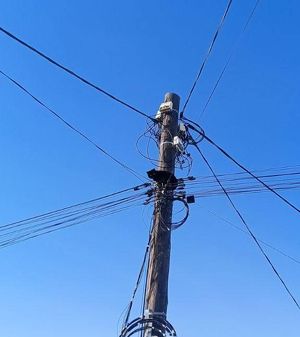 «Упитанный и немного грустный кот» 3 дня просидел на столбе в Хомутово