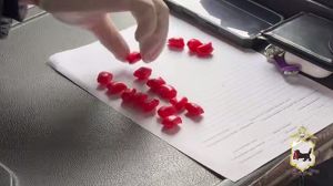 22-летнего иркутянина задержали с крупным «весом» наркотика в трусах и сумке