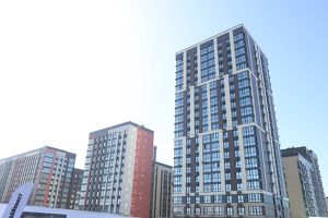 Развитие жилья и городской среды в России обсудили на форуме «Есть результат!» - Верблюд в огне