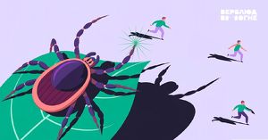 Сезон активности клещей начался в Иркутской области