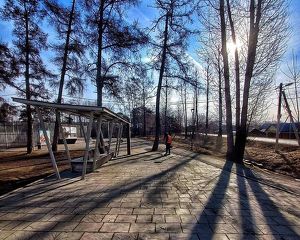 Каштаковскую рощу в Иркутске продолжат благоустраивать в этом году