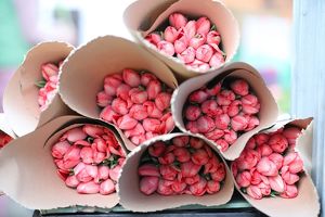 Более 18 тонн цветов доставили в Иркутск самолетами перед 8 марта