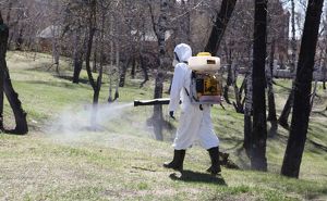 Уже 45 жителей Приангарья пострадали от укусов клещей в этом году