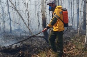 Более 15 млн рублей должны заплатить виновники лесных пожаров в Приангарье