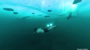 Блогер-миллионник проплыл 50 метров подо льдом Байкала без экипировки