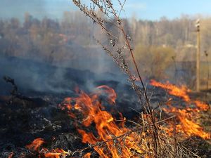 Отжиги сухой травы пройдут сегодня в двух округах Иркутска
