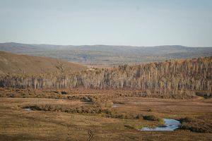 Количество лесных пожаров снизилось в 7 раз в Иркутской области в этом году