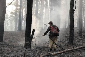 Более 6 тысяч человек будут бороться с лесными пожарами в Приангарье в этом году