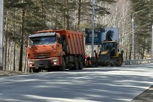 Лес вдоль Байкальского тракта очищают от валежника и мусора