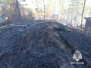 Дети в Бодайбо играли с зажигалкой и чуть не сожгли садоводство