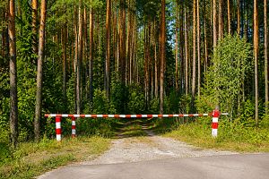 В лес запретили ходить жителям Приангарья до 30 июня