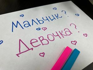 Масштабную гендер-пати устроят в День города в Иркутске