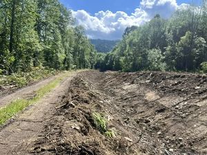Селезащитные сооружения строят на полигоне отходов Байкальского ЦБК