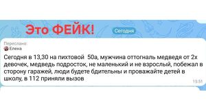 Братчан призвали не распространять фейки о медведях
