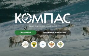 Проекты школьников из Приангарья участвуют в голосовании Детского экологического форума