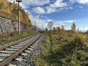 Пеший турмаршрут на КБЖД закрыт – там обитает медведь