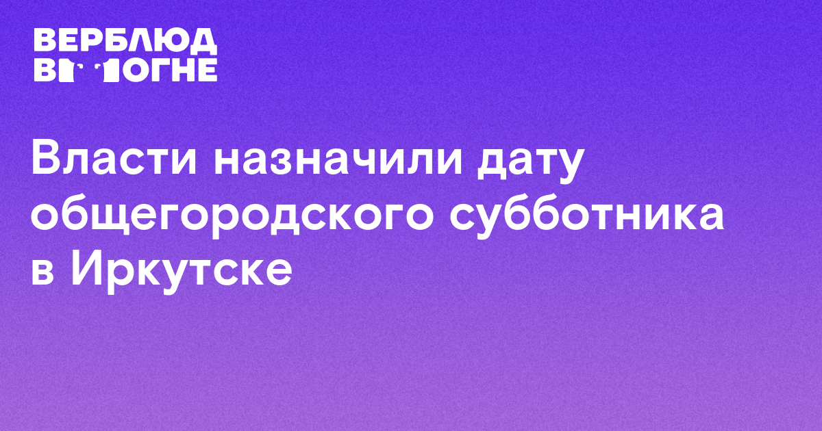 Найти верблюда на картинке лицо